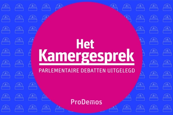 Het Kamergesprek: De rol van de Raad van State