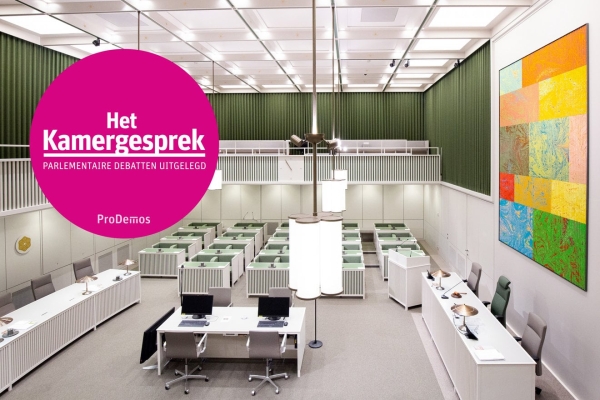 Het Kamergesprek: De Eerste Kamer